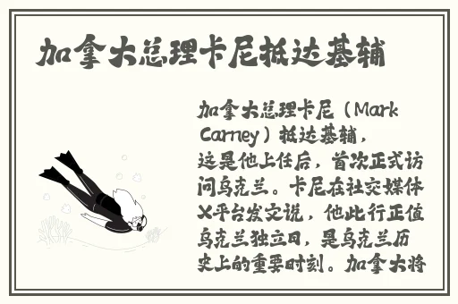 少爷与我的罗曼史电视剧